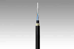  Low Water Peak Optical Fiber G.652D 