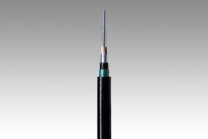  Low Water Peak Optical Fiber G.652D 